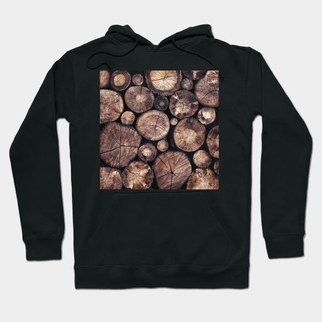 The Wood Holds Many Spirits Hoodie by Tordis Kayma